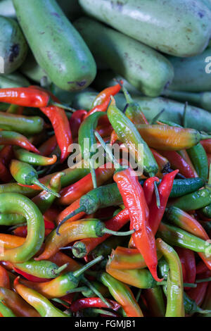 Red green chillies Stock Photo