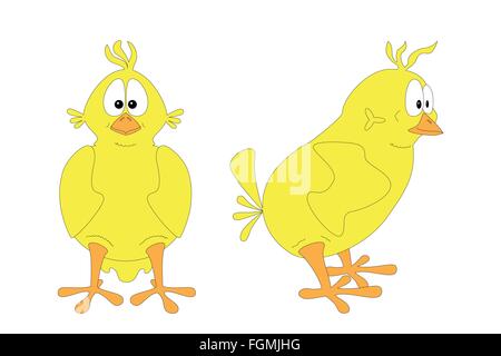 Isolated chick: two views Stock Vector