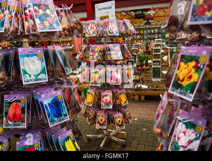 The Flower Market on Singel in Amsterdam Stock Photo