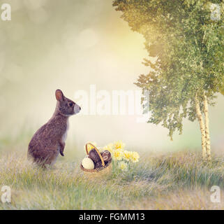 Rabbit and Chocolate Eggs in The Basket Stock Photo