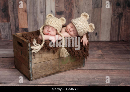 Twin Baby Boys Sleeping in a Wooden Crate Stock Photo