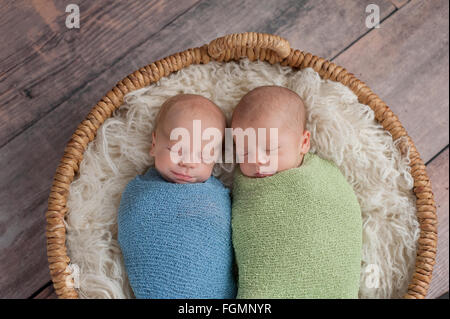 Twin, Newborn, Baby Boys Sleeping in a Basket. Stock Photo