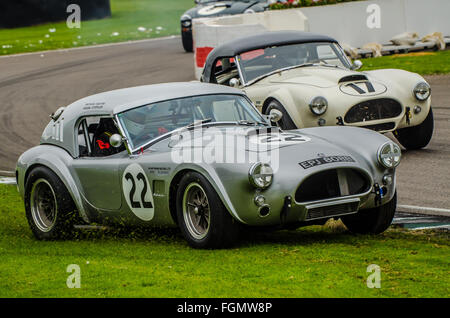 1964 AC Cobra is owned by Richard Squire and was raced by Michael Squire and Frank Stippler at the 2015 Goodwood Revival Stock Photo