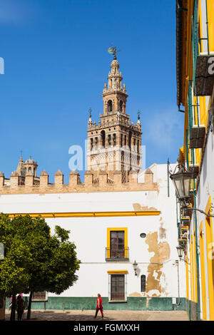 Seville, Seville Province, Andalusia, southern Spain.  Giralda tower seen from Patio de Banderas. Stock Photo
