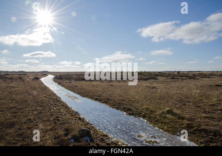 Ice covered trail at a great plain grass land at the island Oland in Sweden Stock Photo