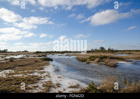 Springtime with flood and streaming water at a great plain grassland at the swedish island Oland Stock Photo