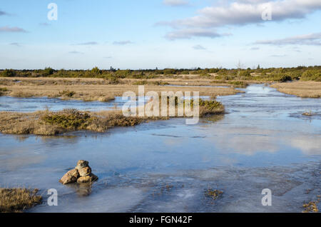 Icy trail at spring at a great plain grassland on the Swedish island Oland Stock Photo