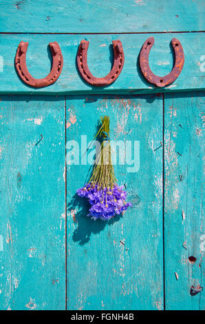 Three horseshoes and  bunch of cornflowers on blue old rustic wooden door Stock Photo