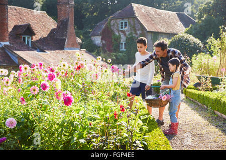 Family picking flowers in sunny garden Stock Photo