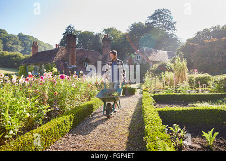 Man pushing wheelbarrow in sunny garden Stock Photo