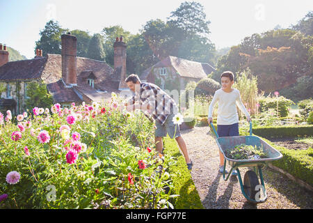 Father and son gardening in sunny flower garden Stock Photo