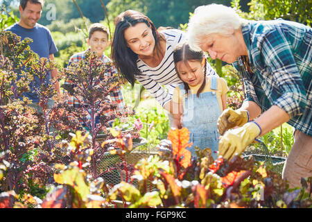 Multi-generation family in vegetable garden Stock Photo