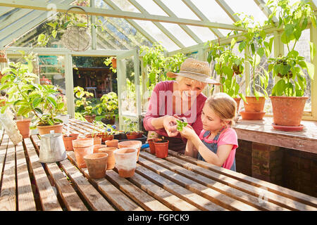 Grandmother and granddaughter potting plants in greenhouse Stock Photo