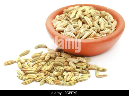 Fennel seeds in a brown bowl over white background Stock Photo