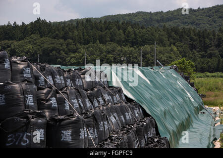 Bags of radioactive waste lay in village during radioactive decontamination process of Iitate district, Japan. Stock Photo