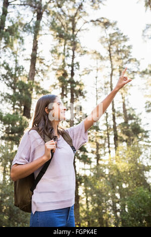 Pretty brunette hiker pointing far away Stock Photo