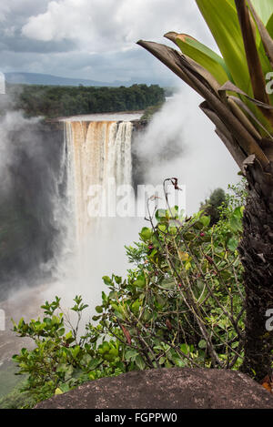 Kaieteur Falls, Potaro River, Guyana, South America Stock Photo