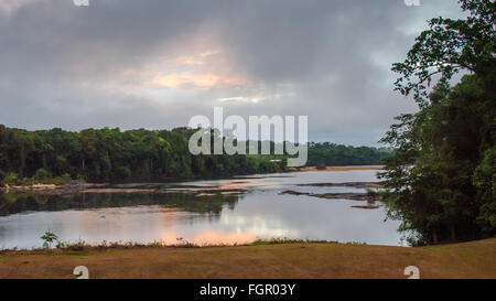 Jangle view and Essequibo river in Guyana, South America Stock Photo