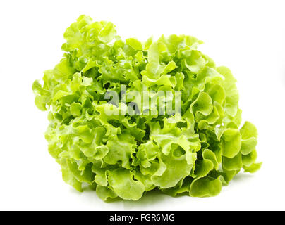 Green oak lettuce isolated on white background Stock Photo