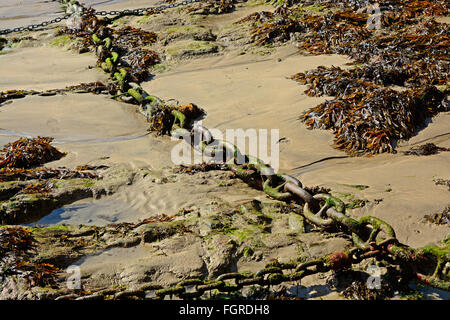Large iron chain for mooring boats to, on beach at Newquay Harbour, Cornwall, England Stock Photo