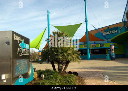 Ripley's Aquarium Myrtle Beach South Carolina USA. Stock Photo