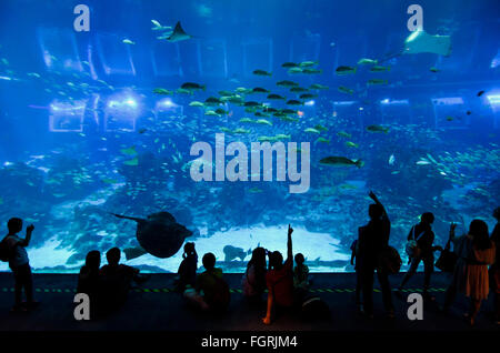 People viewing sea life in the Open Ocean habitat tank at The S.E.A. Aquarium, Sentosa Island, Singapore Stock Photo