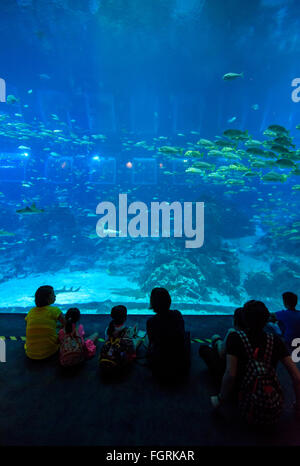 People viewing sea life in the Open Ocean habitat tank at The S.E.A. Aquarium, Sentosa Island, Singapore Stock Photo