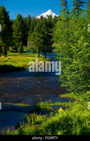 Headwaters of the Metolius, Metolius Wild & Scenic River, Deschutes National Forest, Oregon Stock Photo