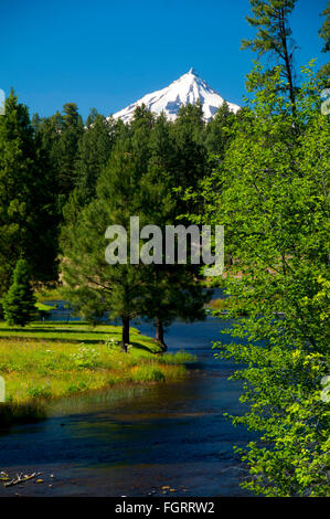 Headwaters of the Metolius, Metolius Wild & Scenic River, Deschutes National Forest, Oregon Stock Photo