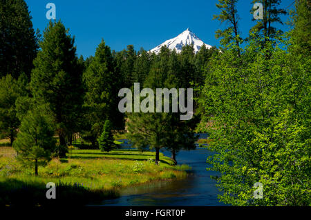 Headwaters of the Metolius, Metolius Wild & Scenic River, Deschutes National Forest, Oregon Stock Photo