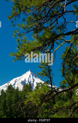 Mt Jefferson from Headwaters of the Metolius, Metolius Wild & Scenic River, Deschutes National Forest, Oregon Stock Photo