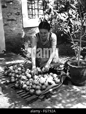 geography / travel, Greece, agriculture, young woman with harvested oranges, 1950s / 1960s, Additional-Rights-Clearences-Not Available Stock Photo