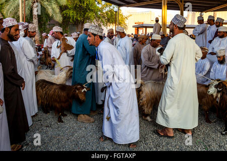 The Friday Livestock Market, Nizwa, Ad Dakhiliyah Region, Oman Stock Photo
