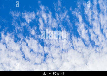 Altocumulus clouds against a blue sky in late winter on a warm day. Stock Photo