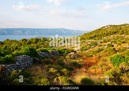 Hvar Island,Ancient Walled holdings,Lukavci,Scedro islands in the mist on approaches to Hvar town below,Dalmatian Coast,Croatia Stock Photo