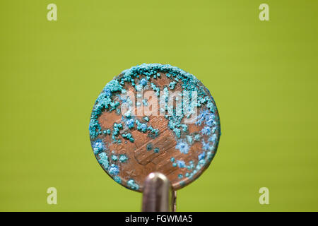 One Eurocent coin oxidized on a green background Stock Photo