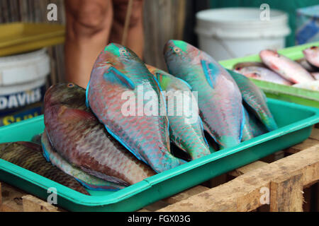 PALAWAN/PHILIPPINES - CIRCA DECEMBER 2015: Colorful fish sold on the main street of Coron Town Stock Photo