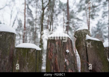 Snow-covered old rural wooden fence in winter time Stock Photo