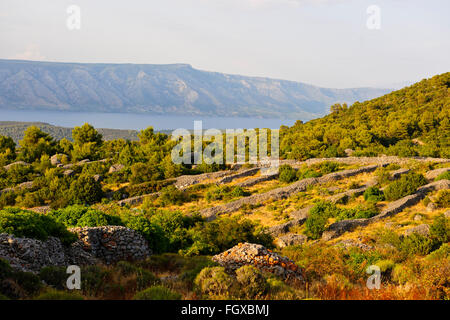 Hvar Island,Ancient Walled holdings,Lukavci,Scedro islands in the mist on approaches to Hvar town below,Dalmatian Coast,Croatia Stock Photo