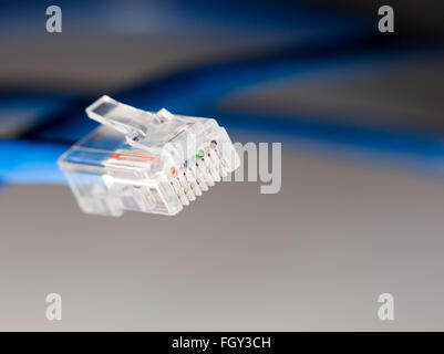 Blue Ethernet Cable Close Up. Stock Photo