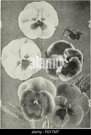 Currie's farm and garden annual - spring 1930 (1930)