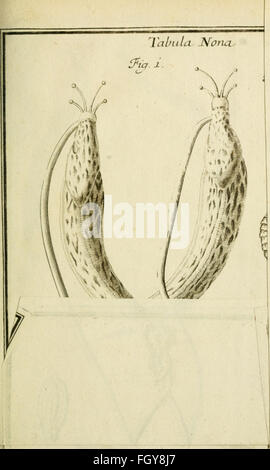 Danielis Clerici, med. doct. Historia naturalis et medica latorum lumbricorum, intra hominem and alia animalia, nascentium, ex variis auctoribus and propriis observationibus (1715)