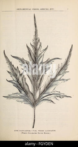 Descriptive catalogue of ornamental trees, shrubs, roses, flowering plants, &c Stock Photo