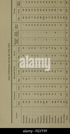 Fifty-Third Annual Report of the Commissioners of Fisheries and Game for the Year Ending November 30, 1918 (1918)