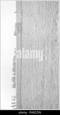 The book of alfalfa; history, cultivation and merits. Its uses as a forage and fertilizer (1906) Stock Photo