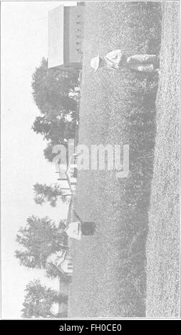 The book of alfalfa; history, cultivation and merits. Its uses as a forage and fertilizer (1906) Stock Photo