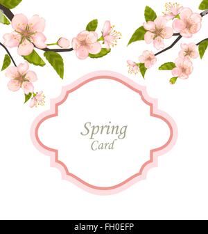 Spring Elegant Card with Blossoming Tree Branches Stock Vector