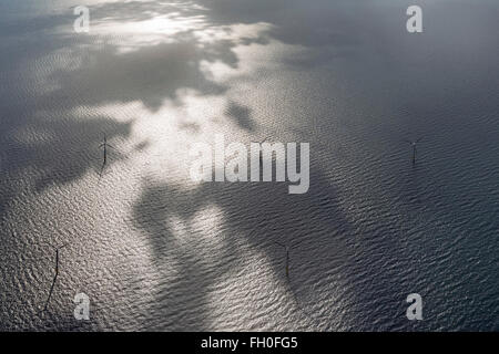 Aerial view,wind farm EnBW Baltic 1 offshore wind farm in the Baltic Sea off the coast of Mecklenburg-Vorpommern,north of Zingst Stock Photo