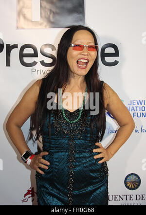 Prestige Private Air Luxury VIP Jet Hangar Gala benefiting the Jewish National Fund  Featuring: Joyce Chow Where: Los Angeles, California, United States When: 21 Jan 2016 Stock Photo