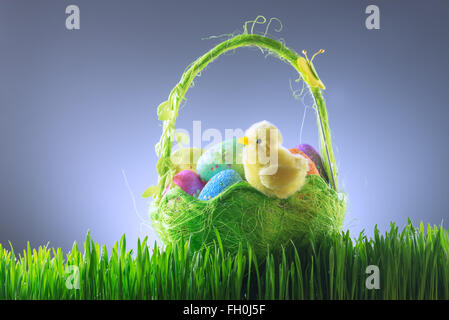 easter background with chicken and eggs Stock Photo